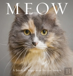 Bertrand.pt - Meow