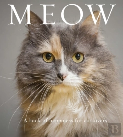 Bertrand.pt - Meow