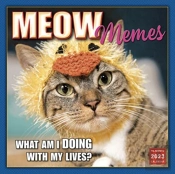 Meow Memes