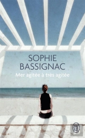 Mer Agitée À Très Agitée