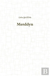 Merddyn