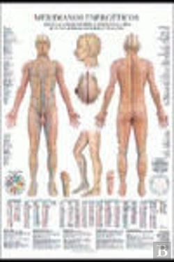 Bertrand.pt - Meridianos Energeticos Poster