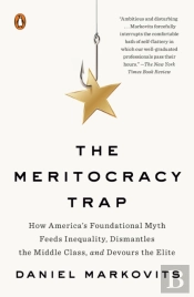 Meritocracy Trap