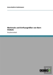 Merkmale Und Einflussgroen Von Born Globals