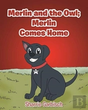 Merlin And The Owl
