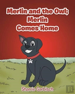 Bertrand.pt - Merlin And The Owl