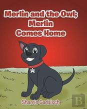 Merlin And The Owl