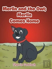 Merlin And The Owl
