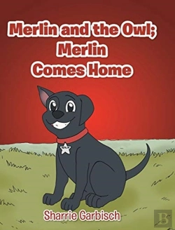 Bertrand.pt - Merlin And The Owl
