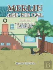 Merlin And The Owl