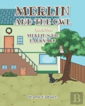 Merlin And The Owl