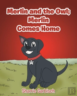 Bertrand.pt - Merlin And The Owl: Merlin Comes Home