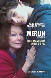 Merlin - Ou Le Manuscrit Sauve Du Feu