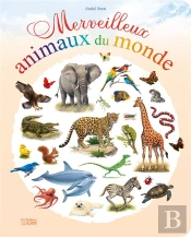 Merveilleux Animaux Du Monde