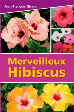 Bertrand.pt - Merveilleux Hibiscus