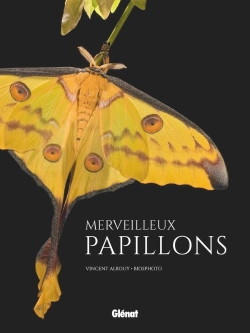 Bertrand.pt - Merveilleux Papillons