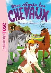 Mes Amis Les Chevaux Tome 31 : Un Sacré Chantier !