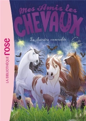 Mes Amis Les Chevaux Tome 40 : La Clairière Ensorcelée