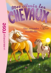 Mes Amis Les Chevaux Tome 6 : Une Rencontre Inoubliable