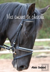 Mes Amours De Chevaux