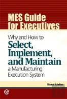 Mes Guide For Executives