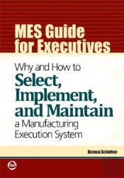 Mes Guide For Executives