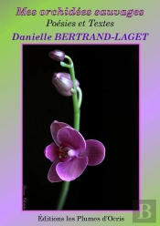 Mes Orchidées Sauvages