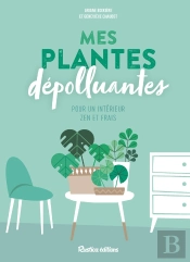 Mes Plantes Depolluantes Pour Un Interieur Zen Et Frais