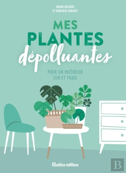 Bertrand.pt - Mes Plantes Depolluantes Pour Un Interieur Zen Et Frais