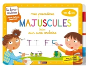 Mes Premieres Majuscules Batons Sur Une Ardoise