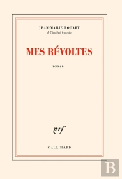Mes Revoltes