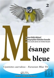 Mesange Bleue