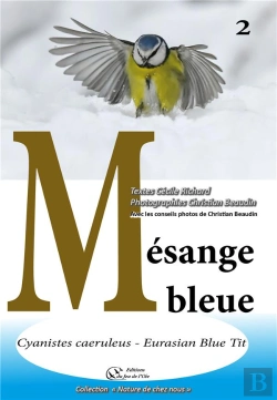 Bertrand.pt - Mesange Bleue