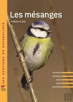 Bertrand.pt - Mesanges