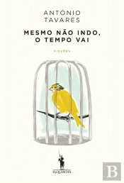 Mesmo Não Indo, o Tempo Vai