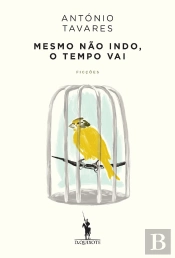 Mesmo Não Indo, O Tempo Vai