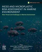 Meso And Microplastic Risk Assessment In Marine Environments