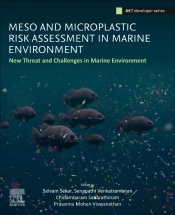 Meso And Microplastic Risk Assessment In Marine Environments