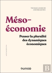 Mésoéconomie : Penser La Pluralité Des Dynamiques Économiques