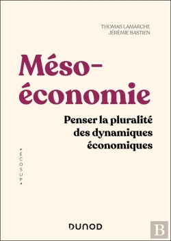 Bertrand.pt - Mésoéconomie : Penser La Pluralité Des Dynamiques Économiques