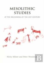 Mesolithic Studies At The Beginning Of The 21st Century