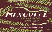 Mesquite