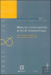 Mesures Conservatoires Et Droits Fondamentaux
