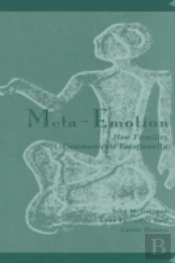 Meta-Emotion