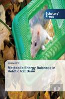 Metabolic Energy Balances In Ketotic Rat Brain