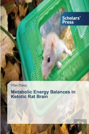 Metabolic Energy Balances In Ketotic Rat Brain