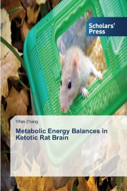 Bertrand.pt - Metabolic Energy Balances In Ketotic Rat Brain