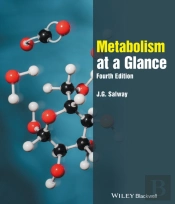 Metabolism At A Glance