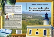 Metaforas De Color En Un Cuerpo Silente
