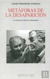 Metáforas De La Desaparición